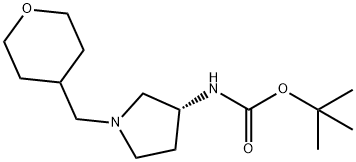 (R)-tert-Butyl 1-[(tetrahydro-2H-pyran-4-yl)methyl]pyrrolidin-3-ylcarbamate 구조식 이미지