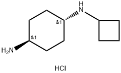 (1R*,4R*)-N1-Cyclobutylcyclohexane-1,4-diamine dihydrochloride Structure