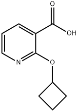 2-Cyclobutoxypyridine-3-carboxylic acid Structure