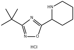 2-(3-tert-Butyl-1,2,4-oxadiazol-5-yl)piperidine hydrochloride Structure