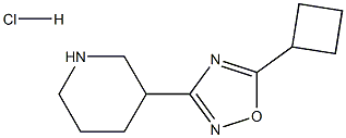 3-(5-Cyclobutyl-1,2,4-oxadiazol-3-yl)piperidine hydrochloride 구조식 이미지