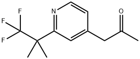 1-(2-(1,1,1-trifluoro-2-methylpropan-2-yl)pyridin-4-yl)propan-2-one 구조식 이미지