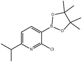 2-Chloro-6-isopropylpyridine-3-boronic acid pinacol ester Structure