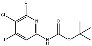 Carbamic acid, N-(5,6-dichloro-4-iodo-2-pyridinyl)-, 1,1-dimethylethyl ester Structure