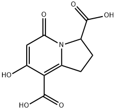 7-Hydroxy-5-Oxo-1,2,3,5-Tetrahydroindolizine-3,8-Dicarboxylic Acid Structure