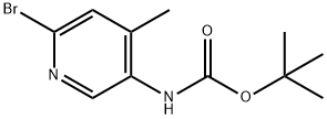 (6-Bromo-4-methyl-pyridin-3-yl)-carbamic acid tert-butyl ester 구조식 이미지