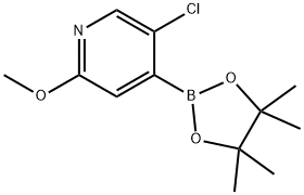 5-Chloro-2-methoxypyridine-4-boronic acid pinacol ester 구조식 이미지