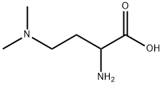 2-Amino-4-dimethylamino-butyric acid Structure