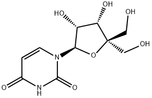 4'-hydroxy methyl uridine Structure