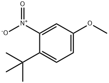 1-tert-Butyl-4-methoxy-2-nitro-benzene 구조식 이미지