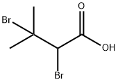 2,3-dibromo-3-methylbutanoic acid 구조식 이미지