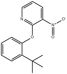 2-(2-tert-butyl-phenoxy)-3-nitro-pyridine Structure