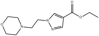 에틸1-(2-모폴리노에틸)-1H-피라졸-4-카르복실레이트 구조식 이미지