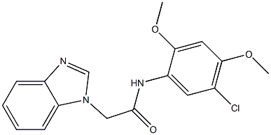 2-(benzimidazol-1-yl)-N-(5-chloro-2,4-dimethoxyphenyl)acetamide Structure