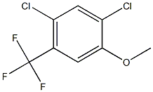 1,5-dichloro-2-methoxy-4-(trifluoromethyl)benzene 구조식 이미지