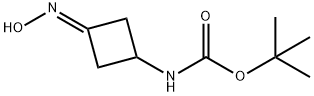 (3-Hydroxyimino-cyclobutyl)-carbamic acid tert-butyl ester Structure