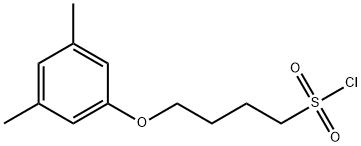 4-(3,5-dimethylphenoxy)butane-1-sulfonyl chloride Structure
