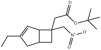 tert-butyl 2-(3-ethyl-6-(nitromethyl)bicyclo[3.2.0]hept-3-en-6-yl)acetate 구조식 이미지