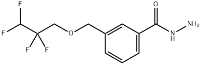 3-[(2,2,3,3-tetrafluoropropoxy)methyl]benzohydrazide Structure