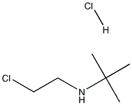 N-(2-chloroethyl)-2-methylpropan-2-amine:hydrochloride Structure