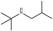 tert-butyl(2-methylpropyl)amine 구조식 이미지