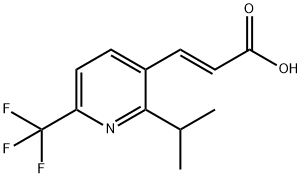 (E)-3-(2-isopropyl-6-(trifluoromethyl)pyridin-3-yl)acrylic acid 구조식 이미지