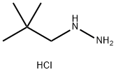 (2,2-dimethylpropyl)hydrazine dihydrochloride 구조식 이미지