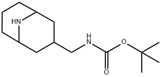 Carbamic acid, N-(9-azabicyclo[3.3.1]non-3-ylmethyl)-, 1,1-dimethylethyl ester 구조식 이미지