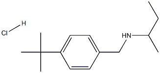 (butan-2-yl)[(4-tert-butylphenyl)methyl]amine hydrochloride Structure