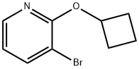 3-bromo-2-cyclobutoxypyridine Structure