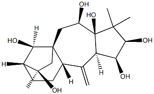 7,9a-Methano-9aH-cyclopenta[b]heptalene-2,3,8,11,11a,12(1H)-hexol,dodecahydro-1,1,8-trimethyl-4-methylene-,(2R,3S,3aR,4aS,7R,8R,9aS,11R,11aR,12R)- Structure