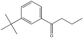 1-(3-tert-butylphenyl)butan-1-one Structure