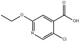 5-Chloro-2-ethoxypyridine-4-carboxylic acid Structure