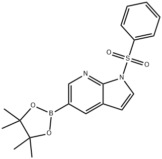 1-(phenylsulfonyl)-5-(4,4,5,5-tetramethyl-1,3,2-dioxaborolan-2-yl)-1H-pyrrolo[2,3-b]pyridine 구조식 이미지