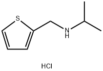 (propan-2-yl)[(thiophen-2-yl)methyl]amine hydrochloride 구조식 이미지