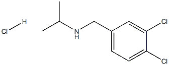 [(3,4-dichlorophenyl)methyl](propan-2-yl)amine hydrochloride 구조식 이미지