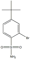 2-bromo-4-tert-butylbenzenesulfonamide Structure