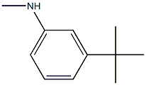 3-tert-butyl-N-methylaniline Structure