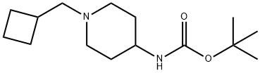 tert-Butyl 1-(cyclobutylmethyl)piperidin-4-ylcarbamate Structure