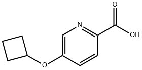5-Cyclobutoxypyridine-2-carboxylic acid Structure