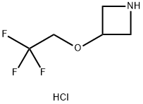 3-(2,2,2-trifluoroethoxy)azetidine hydrochloride 구조식 이미지