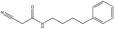 Acetamide, 2-cyano-N-(4-phenylbutyl)- Structure