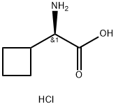 (R)-2-amino-2-cyclobutylacetic acid hydrochloride Structure