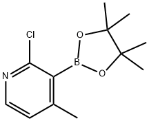 2-chloro-4-methyl-3-(4,4,5,5-tetramethyl-1,3,2-dioxaborolan-2-yl)pyridine Structure