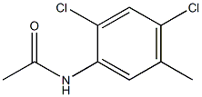 Acetamide,N-(2,4-dichloro-5-methylphenyl)- Structure