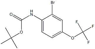 tert-Butyl (2-bromo-4-(trifluoromethoxy)phenyl)carbamate 구조식 이미지