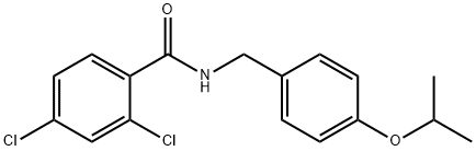 2,4-dichloro-N-[(4-propan-2-yloxyphenyl)methyl]benzamide Structure