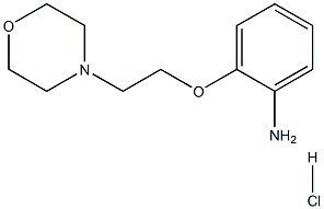 2-(2-morpholin-4-ylethoxy)aniline:hydrochloride Structure