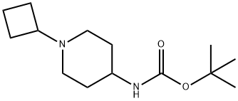 TERT-BUTYL 1-CYCLOBUTYLPIPERIDIN-4-YLCARBAMATE Structure