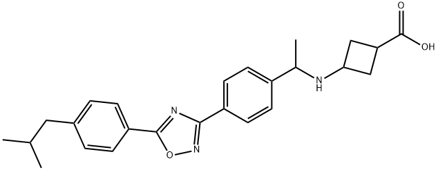 Cyclobutanecarboxylic acid, 3-[[1-[4-[5-[4-(2-methylpropyl)phenyl]-1,2,4-oxadiazol-3-yl]phenyl]ethyl]amino]- Structure
